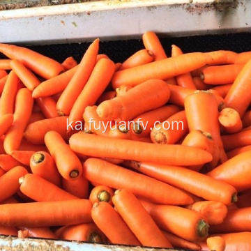 ქარხანა უშუალოდ მიეწოდება Fresh Carrot